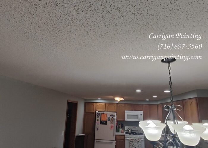 Popcorn Ceiling Portfolio