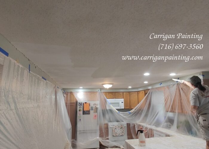 Popcorn Ceiling Portfolio