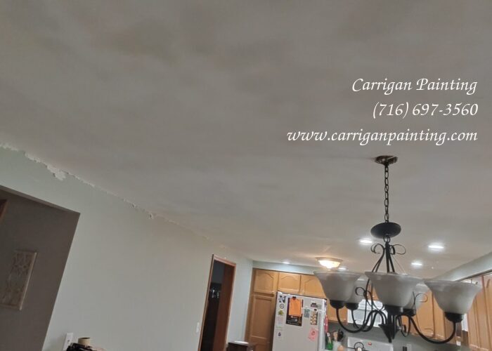 Popcorn Ceiling Portfolio