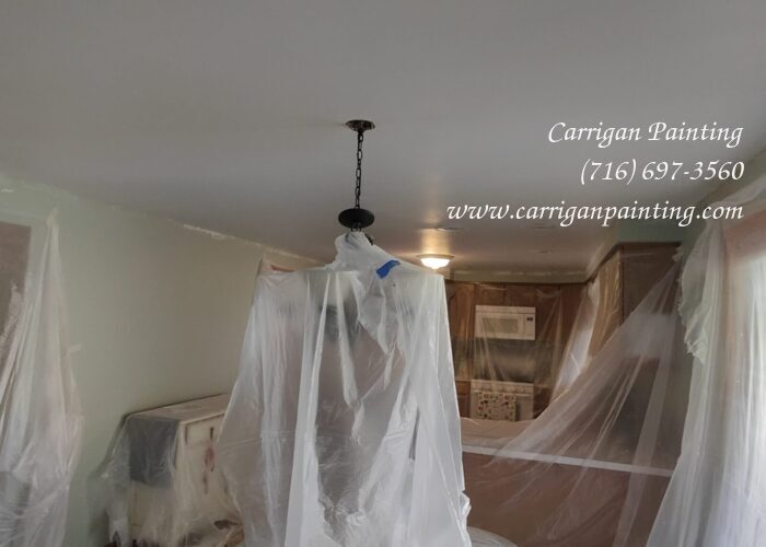 Popcorn Ceiling Portfolio