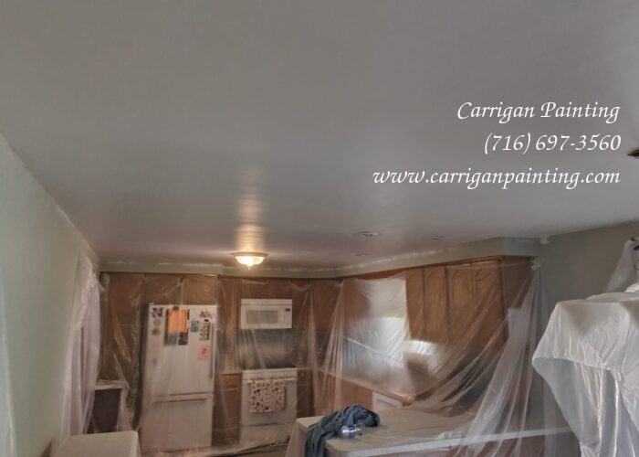 Popcorn Ceiling Portfolio