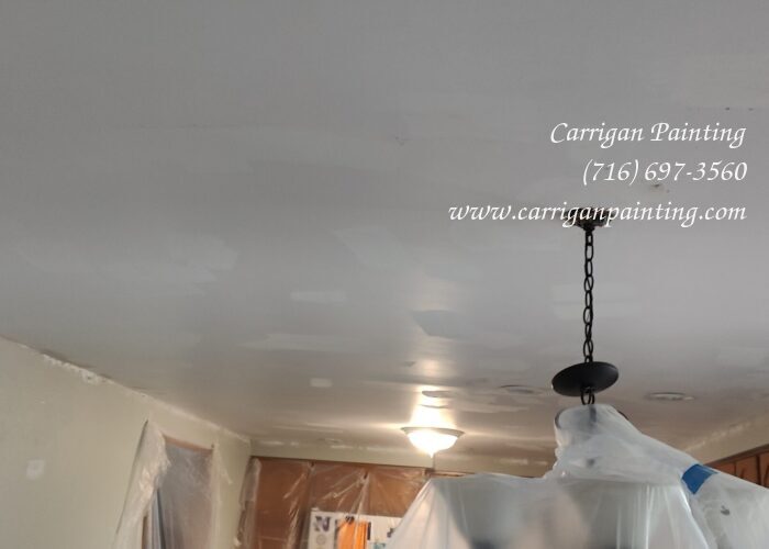 Popcorn Ceiling Portfolio