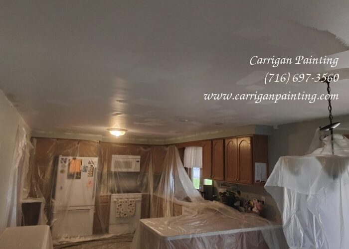 Popcorn Ceiling Portfolio