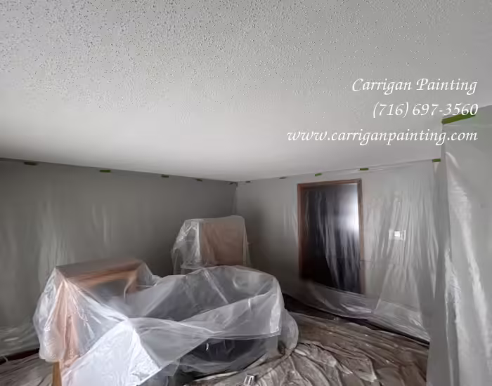 Popcorn Ceiling Portfolio