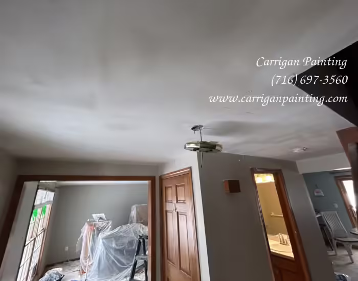 Popcorn Ceiling Portfolio