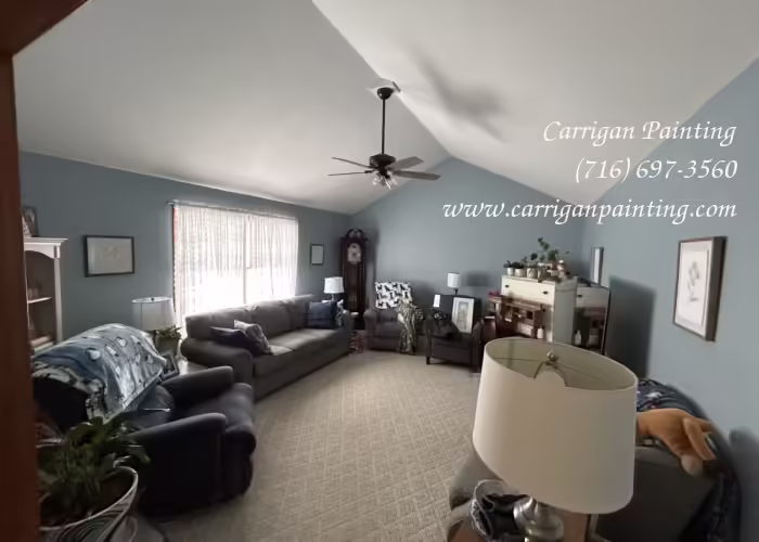 Popcorn Ceiling Portfolio