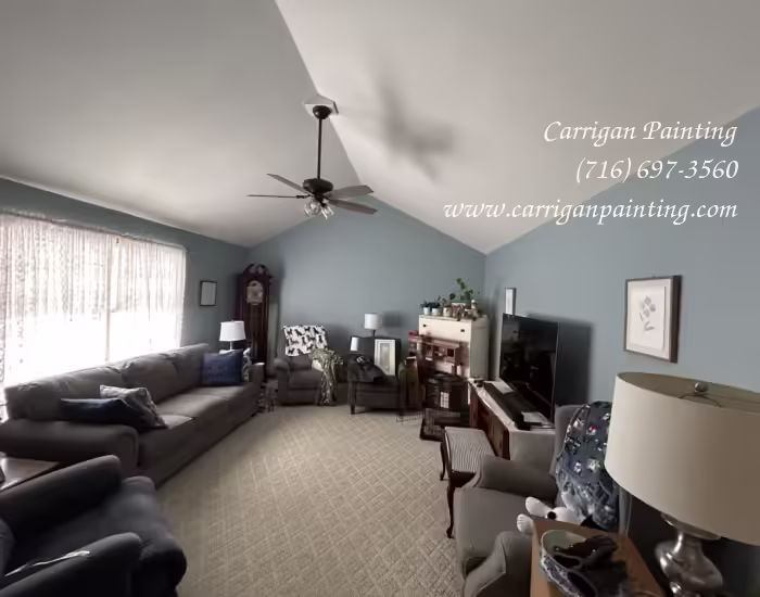 Popcorn Ceiling Portfolio