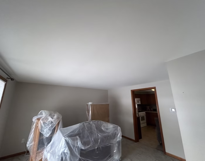 Popcorn Ceiling Portfolio