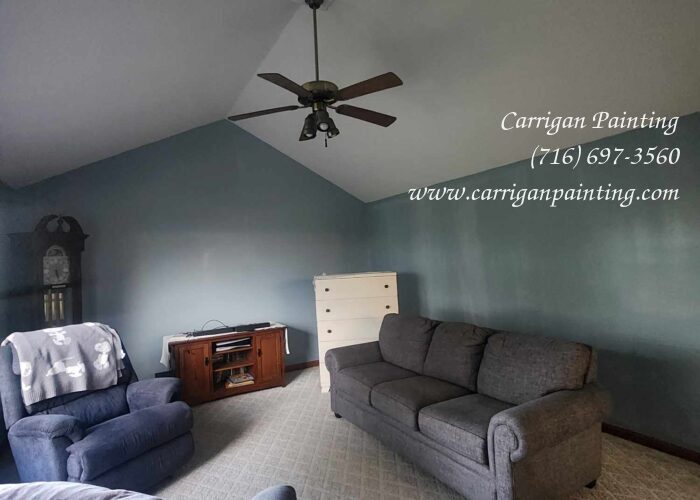 Popcorn Ceiling Portfolio