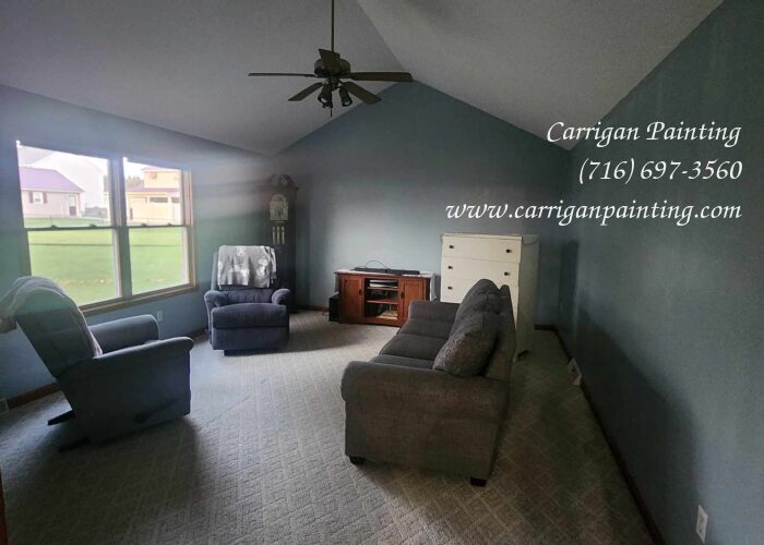 Popcorn Ceiling Portfolio