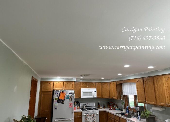 Popcorn Ceiling Portfolio