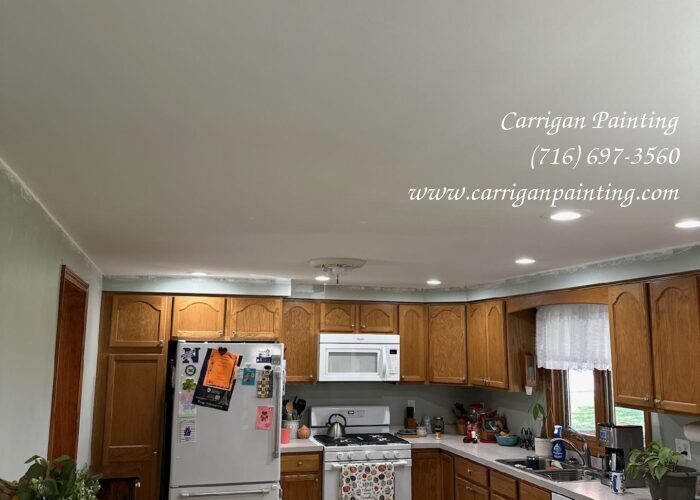Popcorn Ceiling Portfolio