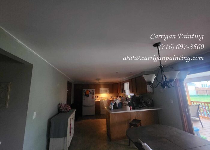 Popcorn Ceiling Portfolio