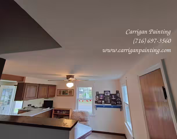 Popcorn Ceiling Portfolio