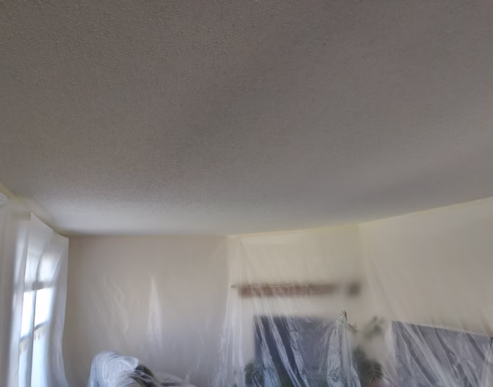 Popcorn Ceiling Portfolio