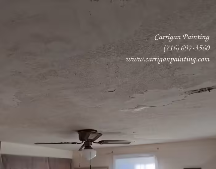 Popcorn Ceiling Portfolio