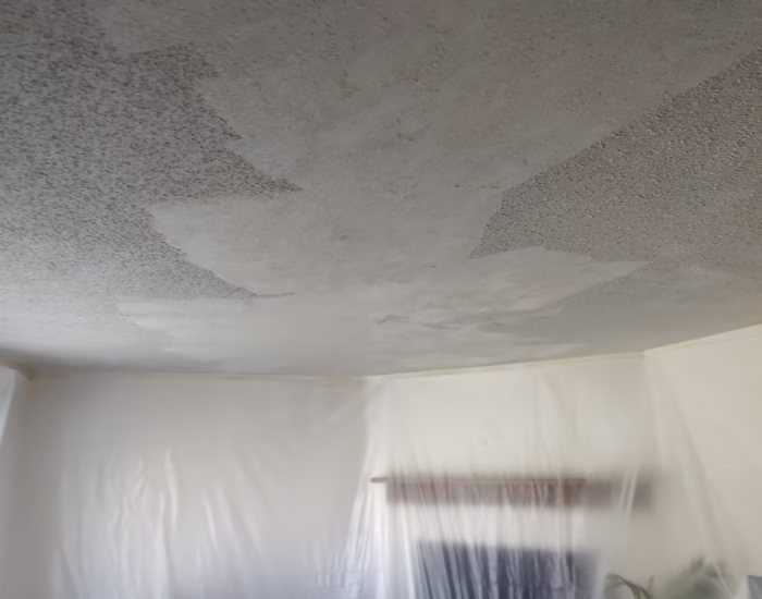 Popcorn Ceiling Portfolio