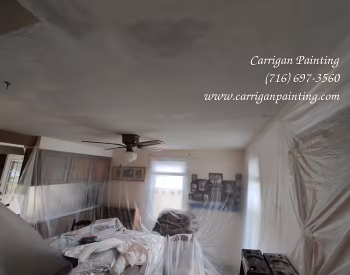Popcorn Ceiling Portfolio