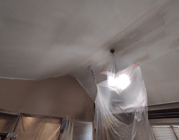 Popcorn Ceiling Portfolio
