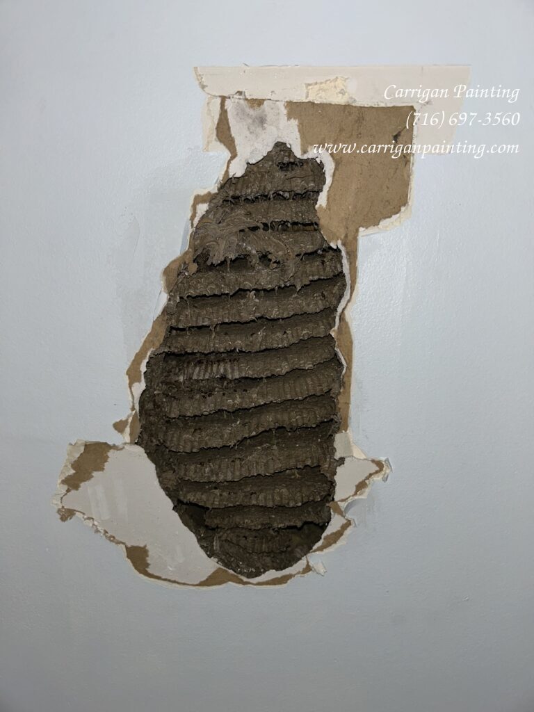 Beehive Removal and Painting in the Foxberry Condominiums, Amherst NY 🐝