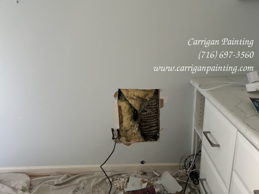 Beehive Removal and Painting  in the Foxberry Condominiums, Amherst NY 🐝