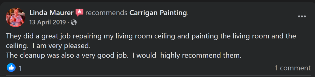 Carrigan Painting's Reviews