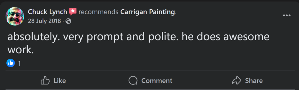 Carrigan Painting's Reviews