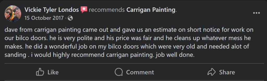 Carrigan Painting's Reviews