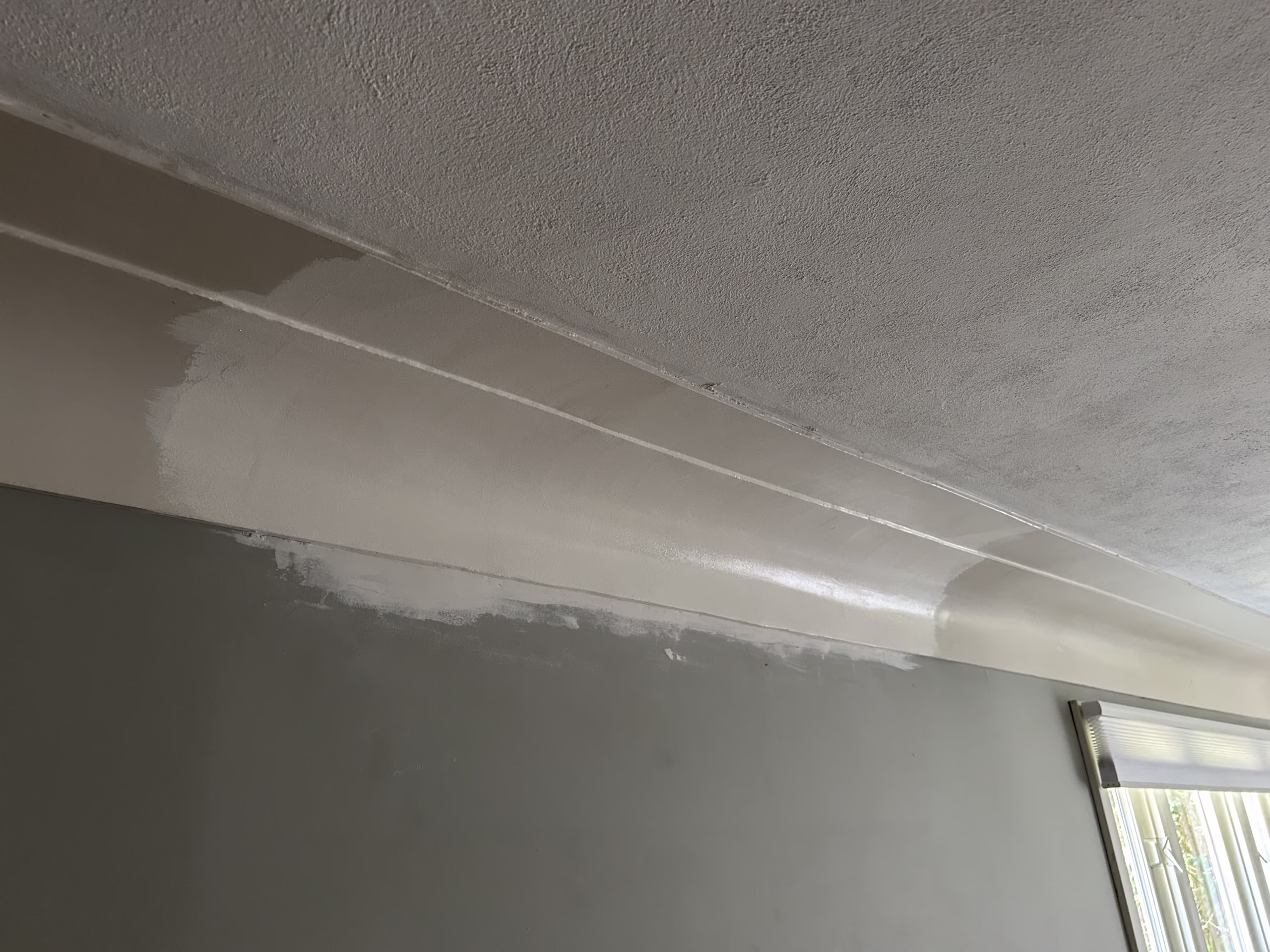 Plaster Cornice Restoration in Orchard Park NY.