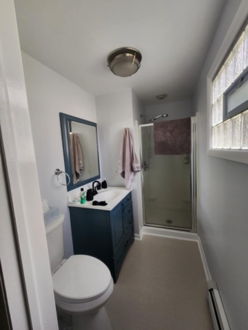 walls and ceiling painted in small bathroom in Clarence NY