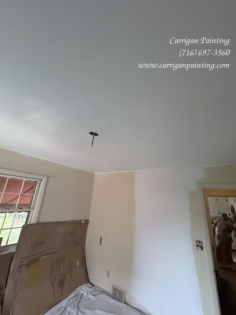 Plaster Repair & Painting: Our Approach for WNY Homeowners