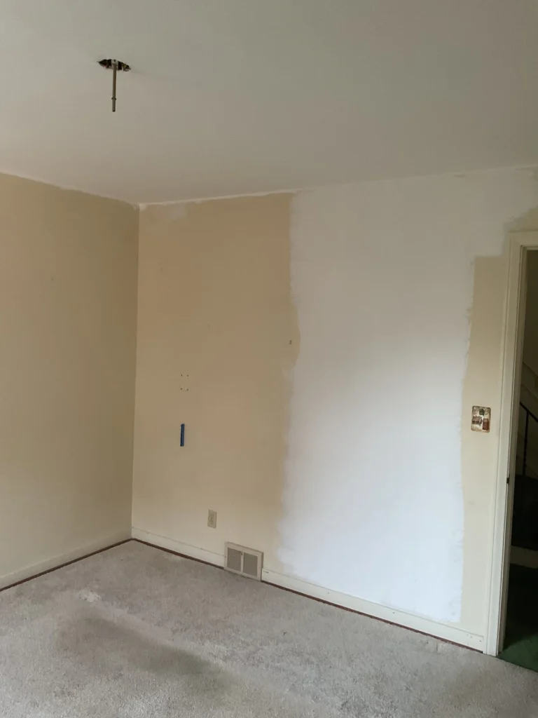 Plaster Repair & Painting: Our Approach for WNY Homeowners
