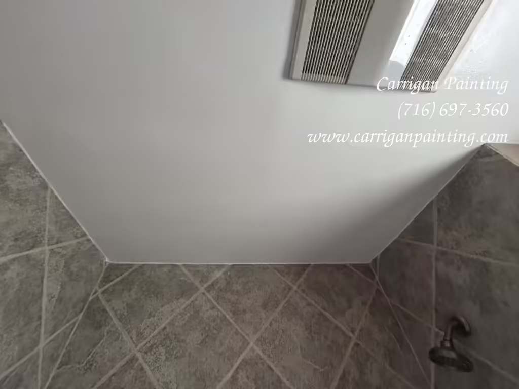 Bathroom Ceiling Repair in Williamsville
