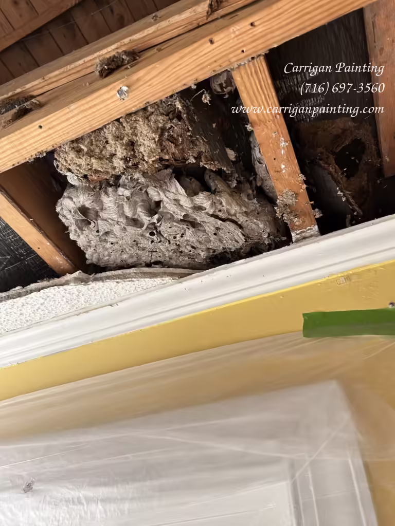 Emergency Ceiling Replacement in Williamsville - Part I