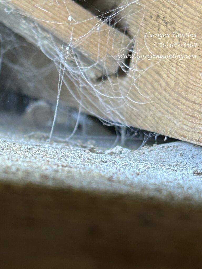 Emergency Ceiling Replacement in Williamsville - Part I