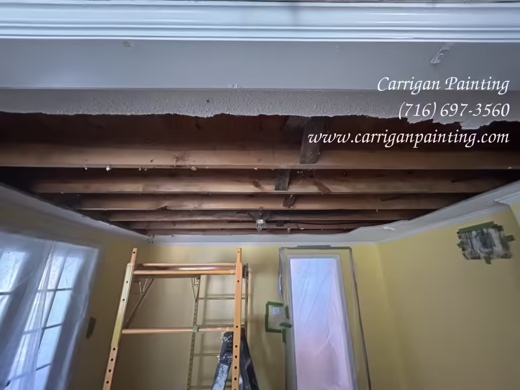 Emergency Ceiling Replacement in Williamsville - Part I