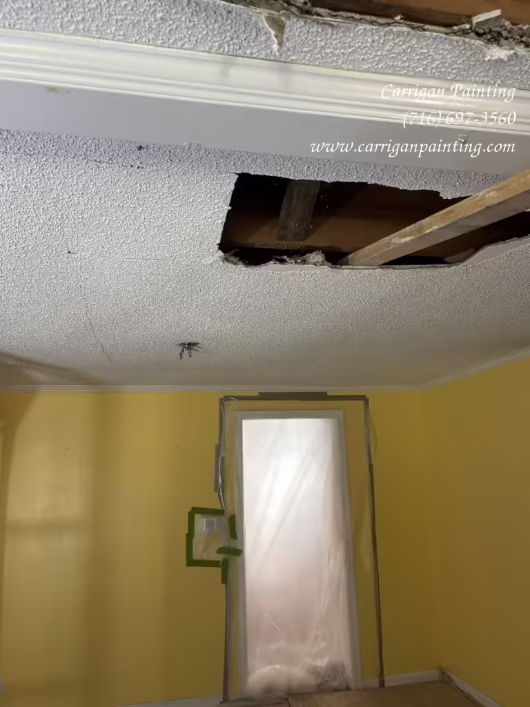 Emergency ceiling repair in Williamsville NY 14221 by Carrigan Painting