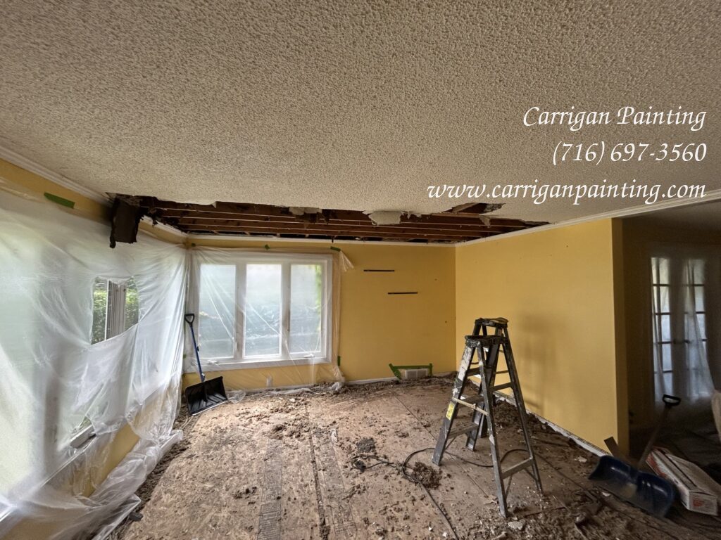 Emergency Ceiling Replacement in Williamsville - Part I