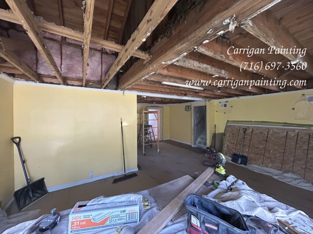 Emergency Ceiling Replacement in Williamsville - Part I