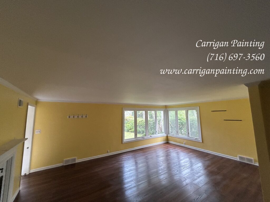 Emergency Ceiling Replacement in Williamsville - Part I