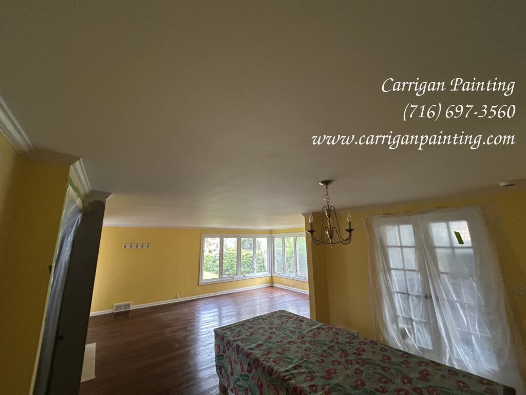 🛠️ Plaster Ceiling Replacement: Installing a New Ceiling in Williamsville – Part II