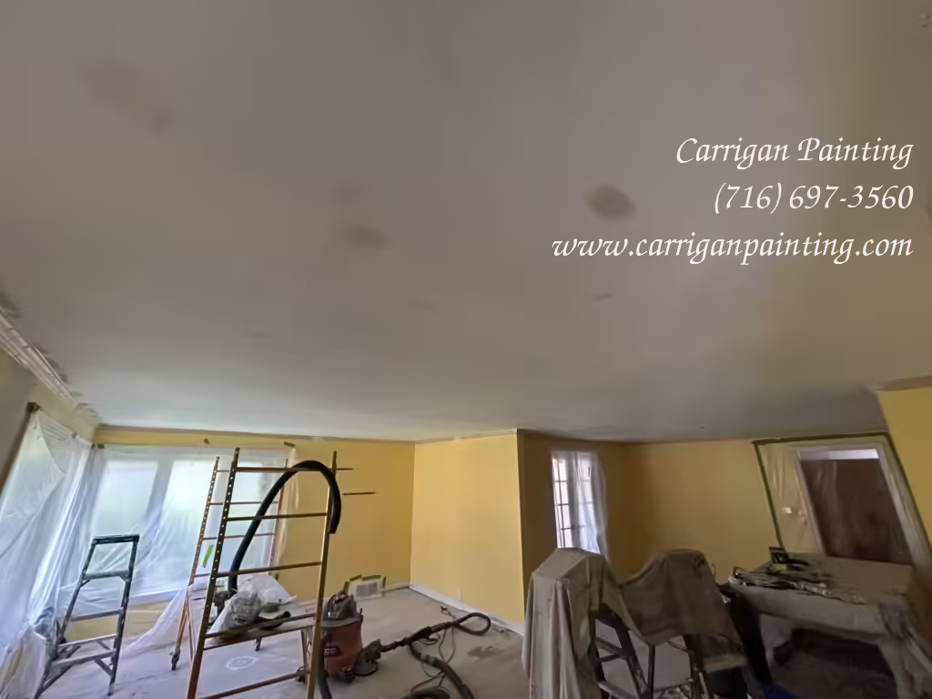 🛠️ Plaster Ceiling Replacement: Installing a New Ceiling in Williamsville – Part II