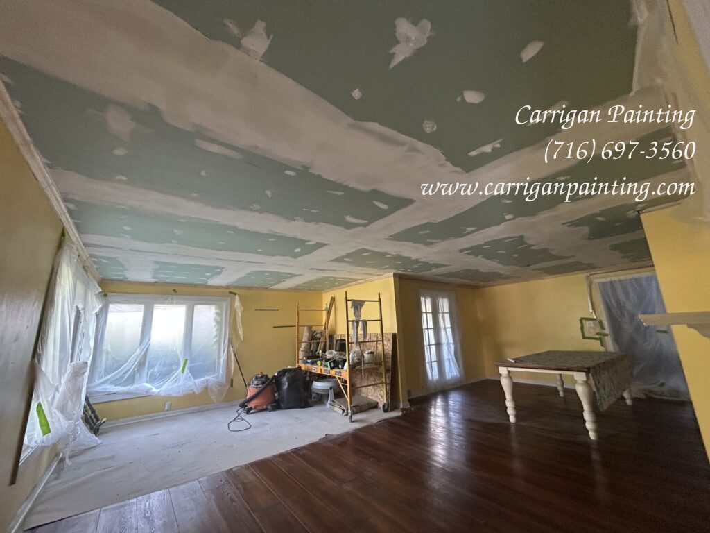 🛠️ Plaster Ceiling Replacement: Installing a New Ceiling in Williamsville – Part II