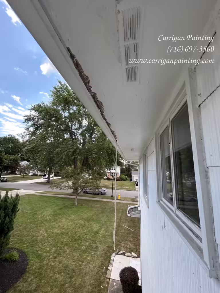 Exterior House Painting in Willliamsville NY. - The Carrigan Archives Exterior House Painting in Willliamsville NY.