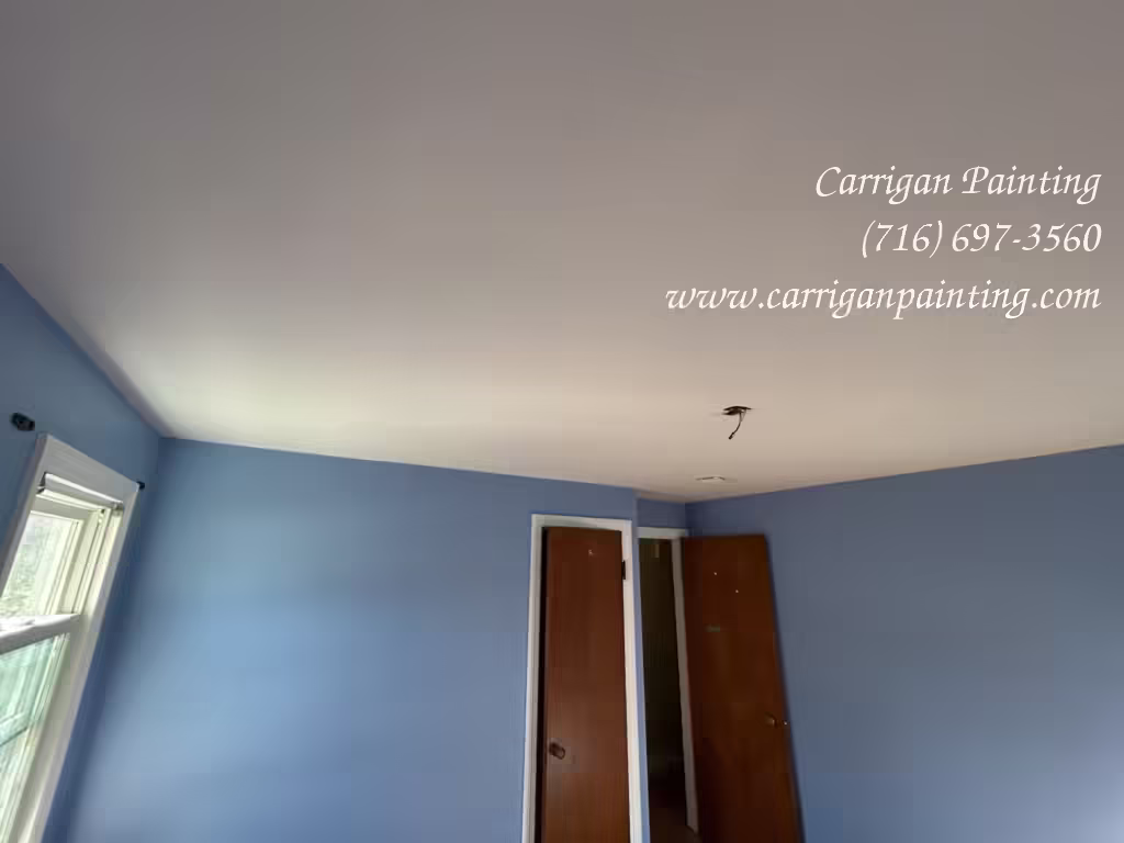 seemless plaster ceiling repair and painting in Buffalo NY