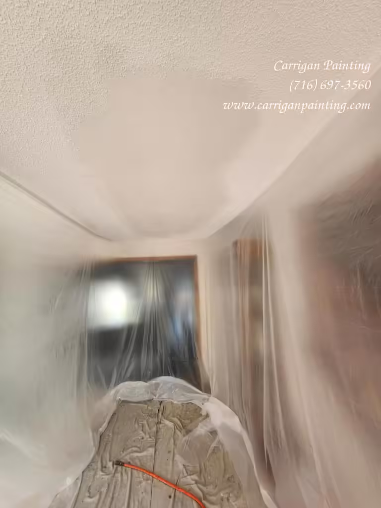 popcorn ceiling repair  in Cedar Ridge, West Seneca NY 14224