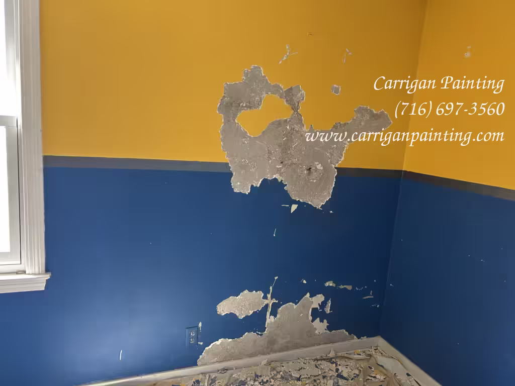 Water Damaged Plaster Repair in Kenmore 14217 - Part 1