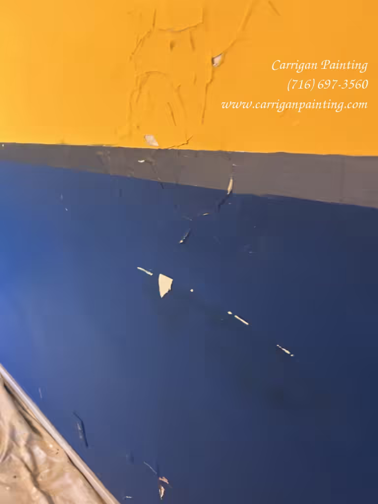 Water Damaged Plaster Repair in Kenmore 14217 - Part 1