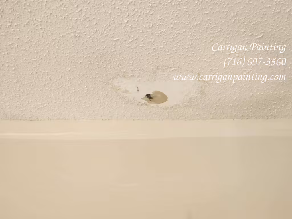Cheektowaga Popcorn Ceiling Repair and Painting