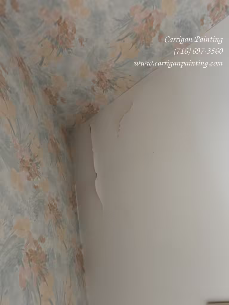 Minor water damage to bathroom ceiling in Roxbury Park East Amherst 14051